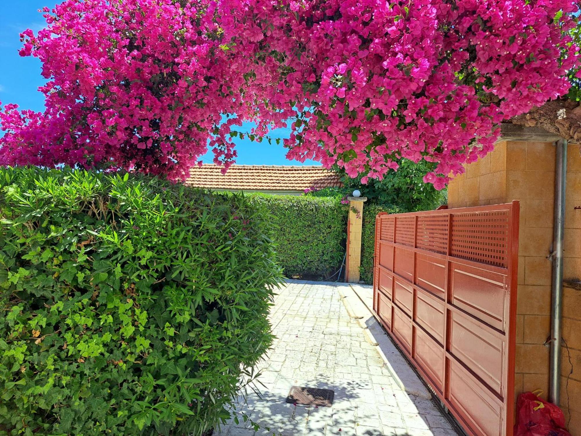 Holiday Home Orfanos Armenoi  ภายนอก รูปภาพ